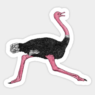 Ostrich Sticker